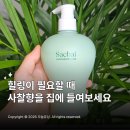 고려향 | 취 고려청자 핸드 바디워시 사찰향 후기 집들이 선물 추천 힐링템