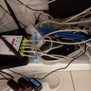 온 동물병원 이미지