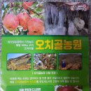 오치골농원
