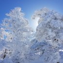 대설경보 해제 직후의 한라산雪景 이미지