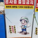 대리천 이미지