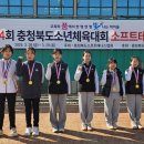 죽향초 이미지