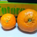 동환농장 이미지