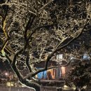 골든힐폼 이미지