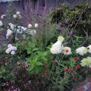 설악허브빌펜션 이미지