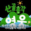 (주)커피빈코리아 서초동점 | 합숙맞선2 직업 나이 총정리 어머님들 픽 바뀐 이유