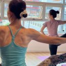 세영아쉬탕가요가 이미지