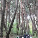 금빛유치원 이미지