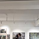 [서울모임 후기] 서촌, 공간풀숲 관람 그리고 서울역사박물관, 경희궁, 경교장 견학까지 이미지
