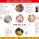 해독365
