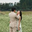 영식축사 이미지