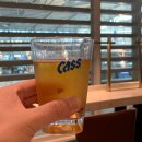 라운지밥 | 인천공항 1터미널 마티나라운지 무료이용 할인카드 가격 후기