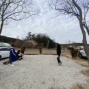 코오롱애견 이미지