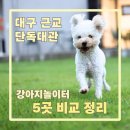 아싸애견미용실 | 대구 근교 강아지 단독 대관 놀이터 5곳 총정리 (직접 다 가본 후기)