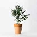 원복농장 이미지