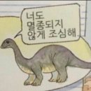 내 인생 통틀어 내가 좋아하는 남자아이돌이 새벽4시반에 단발머리로...twt 이미지