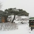 채림농장 이미지