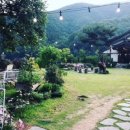 더 정감 이미지