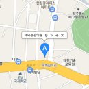 테미용한의원 티스토리