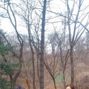 아세안자연휴양림 이미지