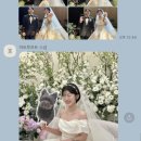 W #3-2, HEART TO HEART 아이폰 웨딩 스냅 후기 (하트 투 하트 아이폰 스냅)