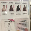 오캄 미아현대백화점