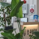 원부산밀면 네이버블로그