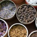 경희그린비한의원 이미지