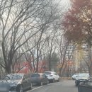 구민운동장 축구장 | 관악구민운동장 축구장 잔디는 합격, 주차는 지옥?