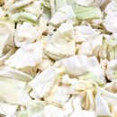 브로콜리 펫푸드 이미지