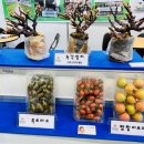 (주)팜코리아 이미지