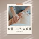 살롱드멍멍 | 27년 경력 안산 고잔동 피부관리실 [살롱드보떼] 얼굴 피부관리 후기