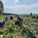 음암면사무소 이미지