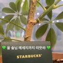 덕은당떡집