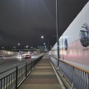 안양천 다목적광장 | 안양천 다목적광장에서 금천구청역 가는 산책길 안양천러닝 걷기코스