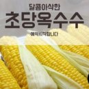 아삭톡톡