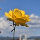 거명의료재단 이미지