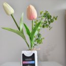 조아마트 이미지