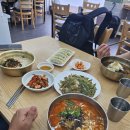 최가네 촌국수