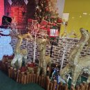 중랑중학교 이미지