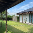 신효동 하귤나무 이미지