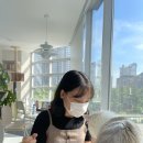 랙돌카페냐옹 | [일상]인천 랙돌고양이카페 랙돌카페냐옹 후기