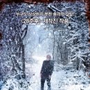 더샤이닝 이미지