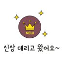 미르투스 이미지