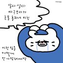 마루네안경 | 햇빛 아래서 걸어다닐 수 없다 그냥 알 수 있었다 햇빛에 닿으면 죽는다는 걸
