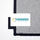 라온플래닛 이미지