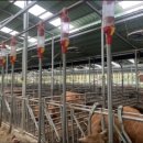 승재목장 이미지