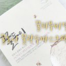 마스크팩추천 꿀동이꿀광수 마스크팩으로 꿀피부되세요