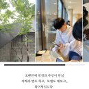 주성미트 - 북구 | 회상