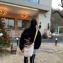 미싱도로록 이미지